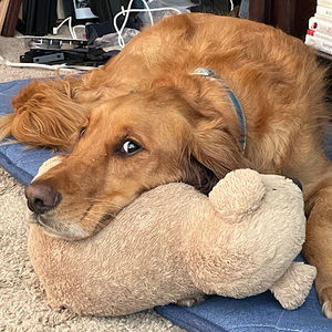 Meet your Posher, Stephen